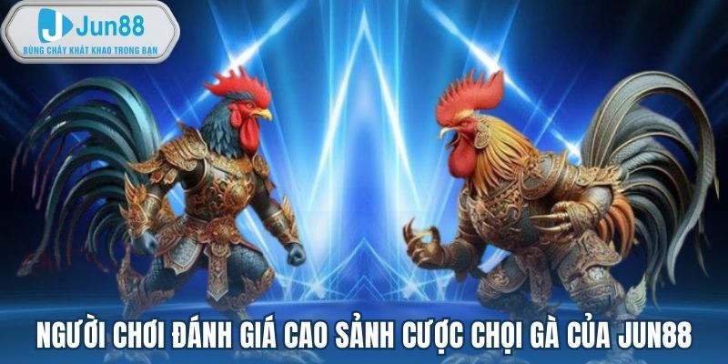 Người chơi đánh giá cao sảnh cược chọi gà của Jun88